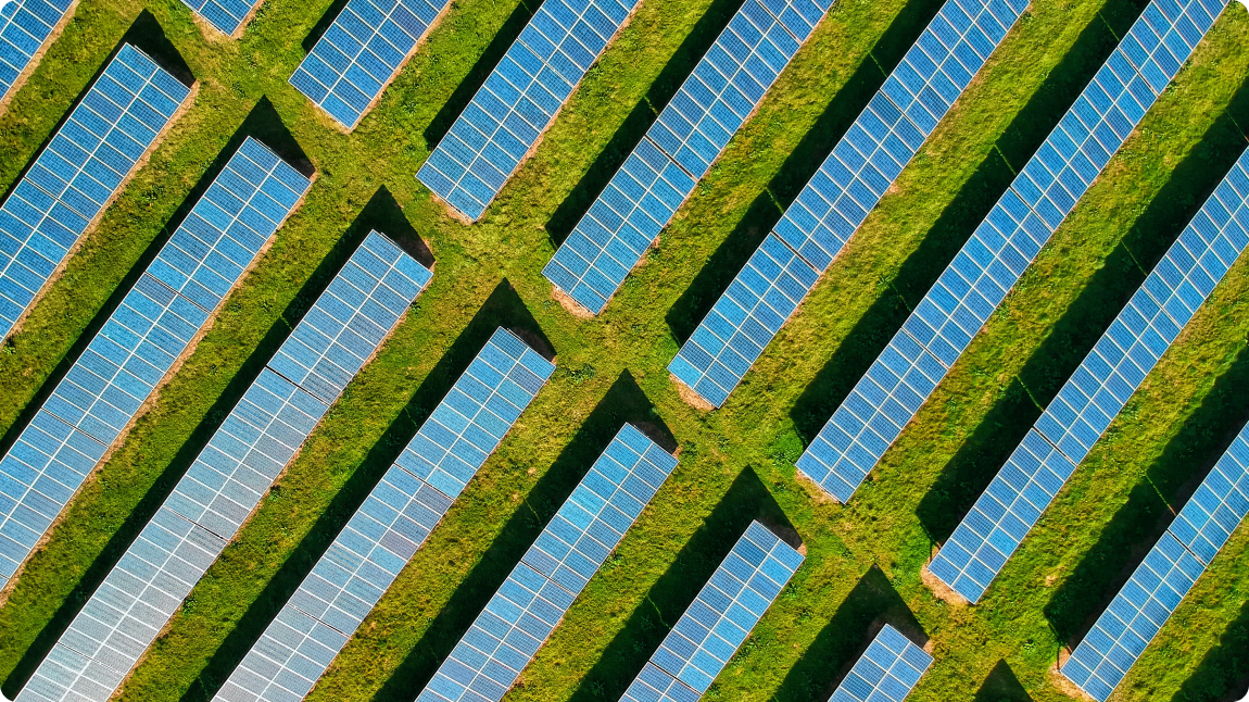 A field with solar panels