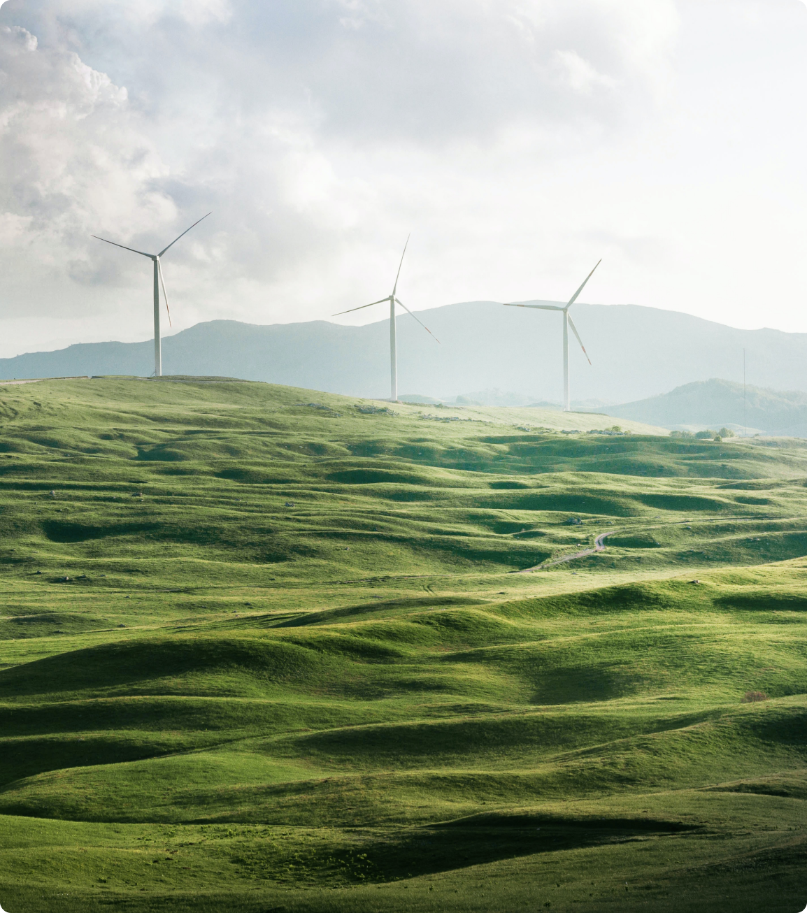 Wind turbines in a green field