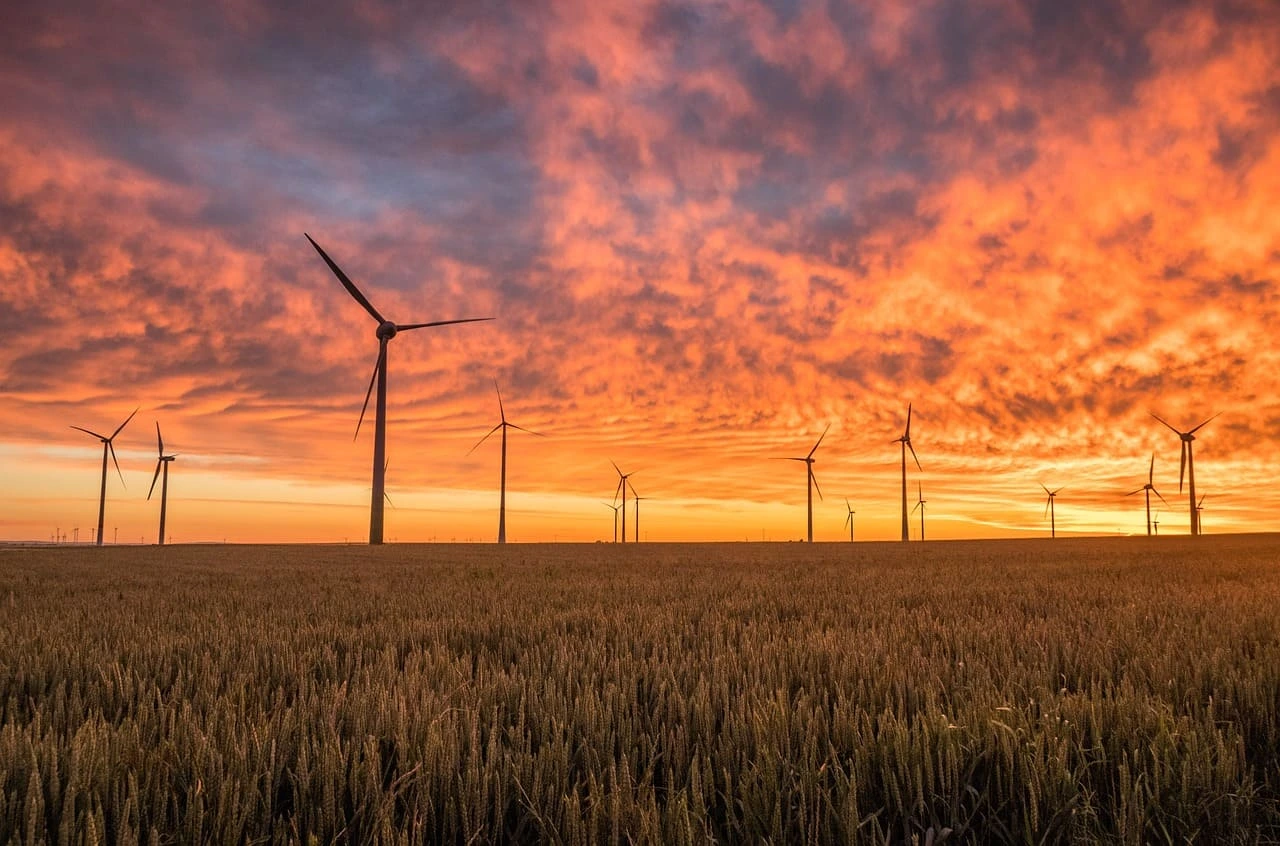 Champ d'éoliennes 