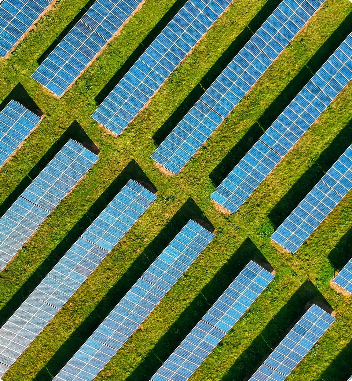 Solar panels in a green field